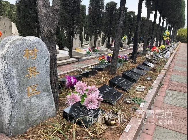 临沂艾山公墓图片