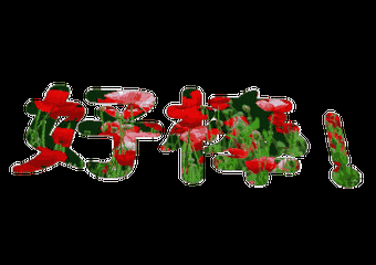 就像不小心点进了家庭群,亲切的文字与表情让你如沐春风