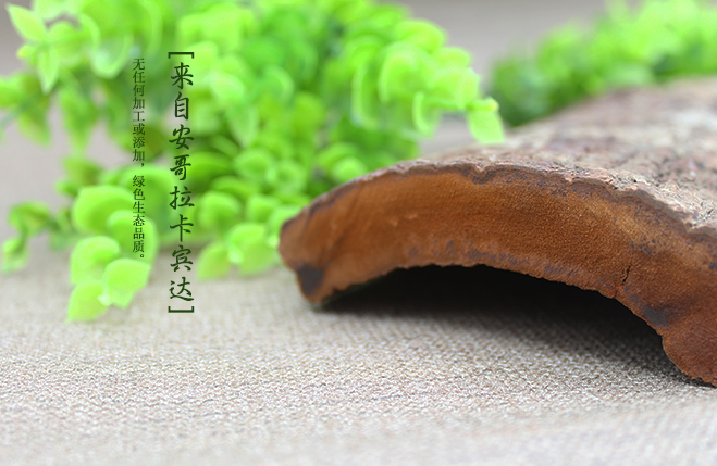 卡宾达树皮卡宾达树皮骗局揭秘卡宾达树皮壮阳骗局揭秘