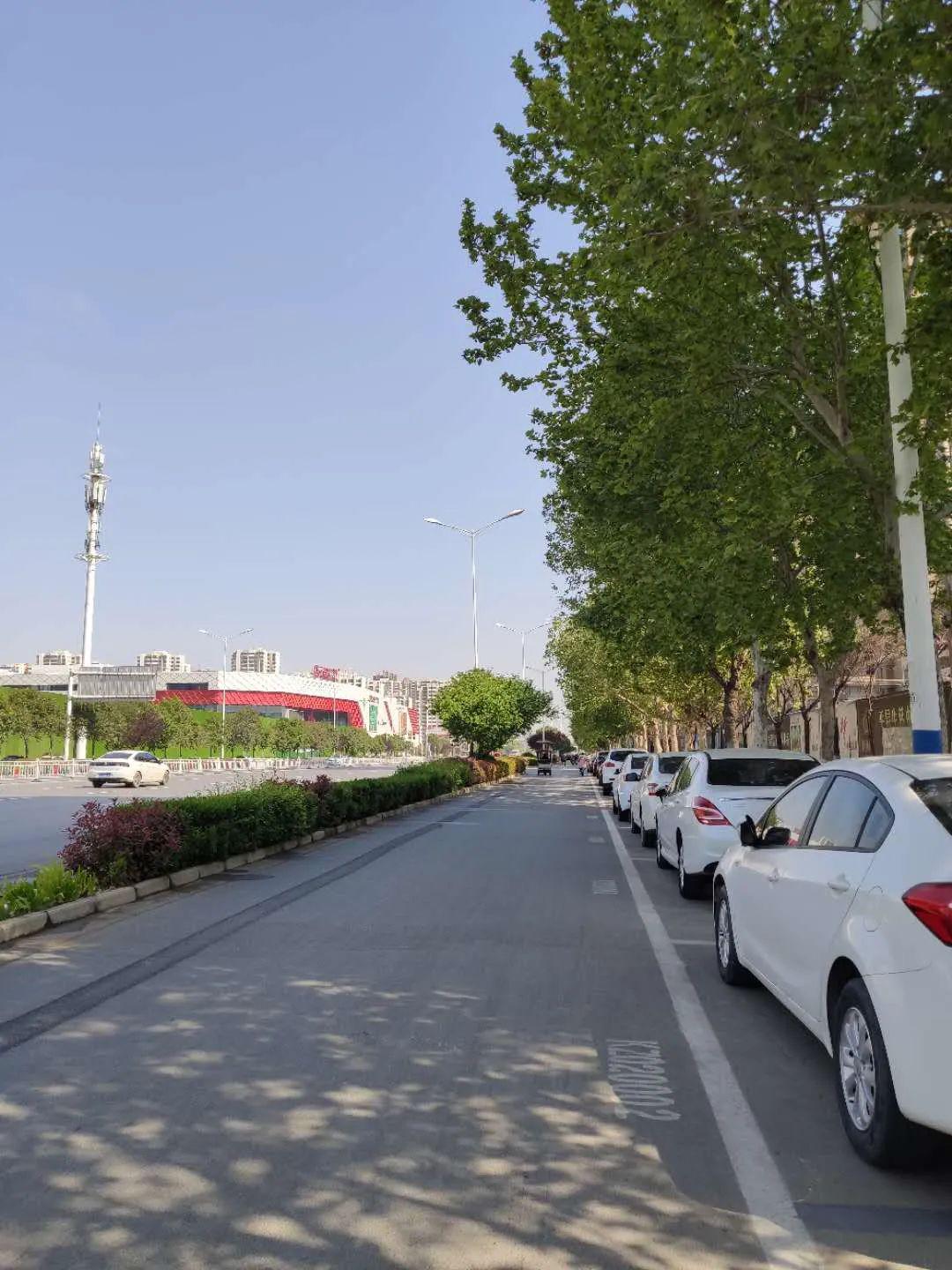 路边停车暂不收费!濮阳市民可放心停车