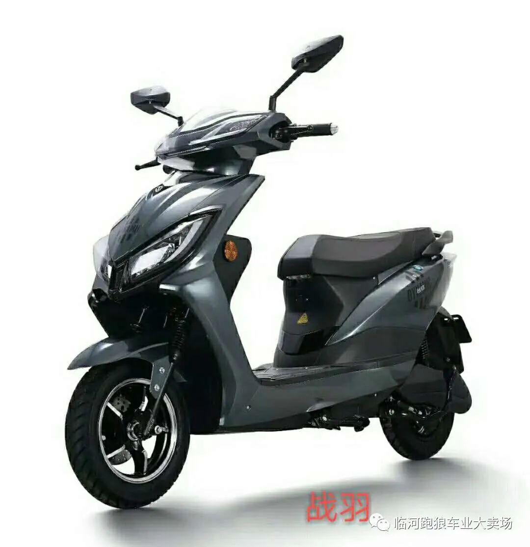 五一即将来临临河区跑狼车业台铃电动车招聘促销活动