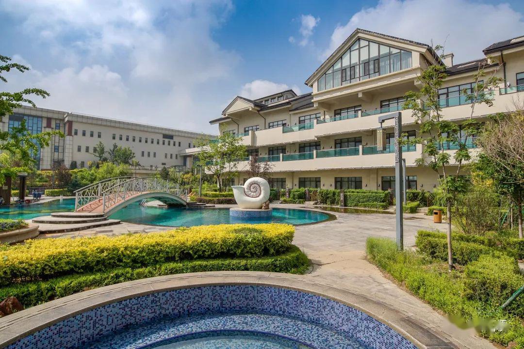 踏青赏花哪里打卡抚顺等你啊