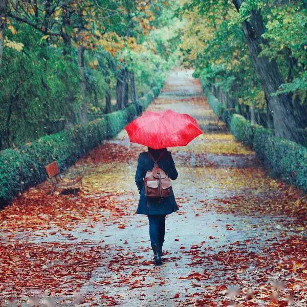 雨后阳光背影图片图片