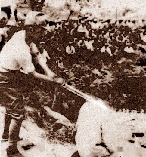 打鬼子(91):南京大屠杀不许可照,总有一张能震撼你_日军