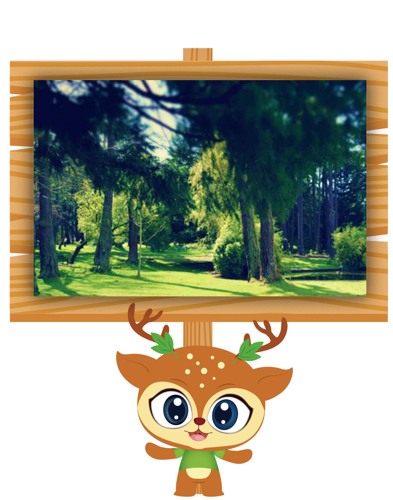 亿万年波澜壮阔的生命史诗,翠云山想为您讲讲古往今来的故事