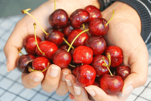 全哈市免费配送宝藏樱桃来啦甜蜜你整个春季99元享优蔬生鲜3斤大连