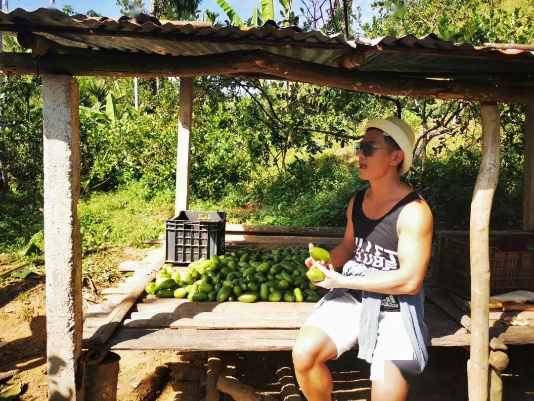 layer leaf tea),发明者romesh先生利用不同茶温创造出茶中奇迹,现在