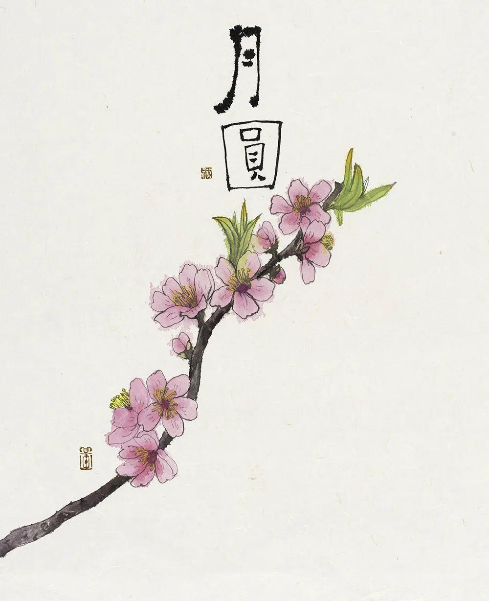 直播预告 | 慢下来,享受当下,李知弥艺术分享会