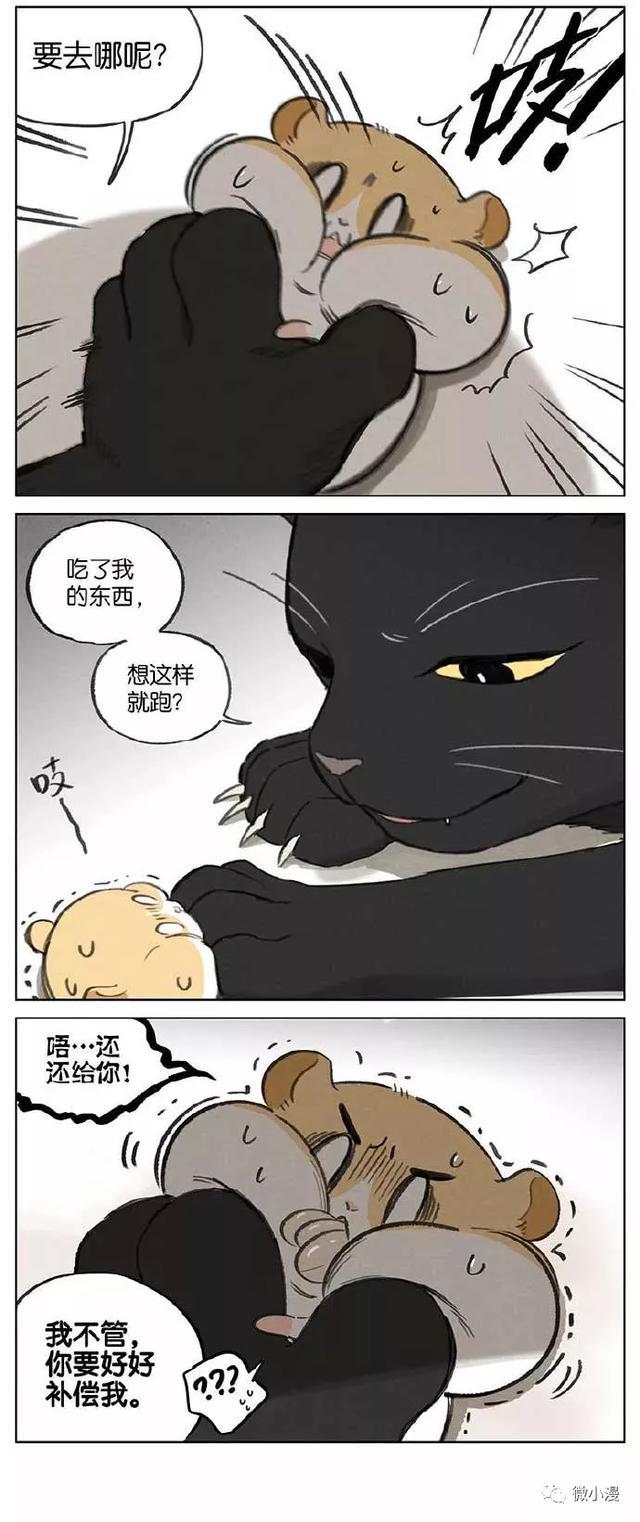 黑猫:小仓鼠我对你这么好,你感动吗?小仓鼠:不敢动(漫画)