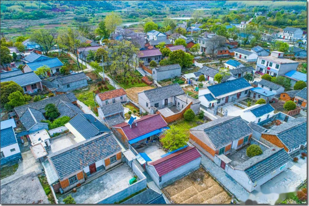 航拍换一个角度看美丽乡村烔炀镇白庙唐