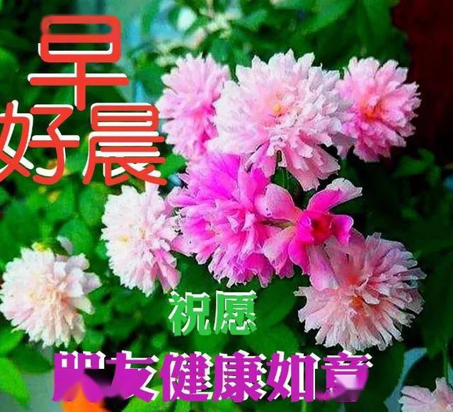 6張早安圖片帶字推薦,早上好問候語圖片_河流