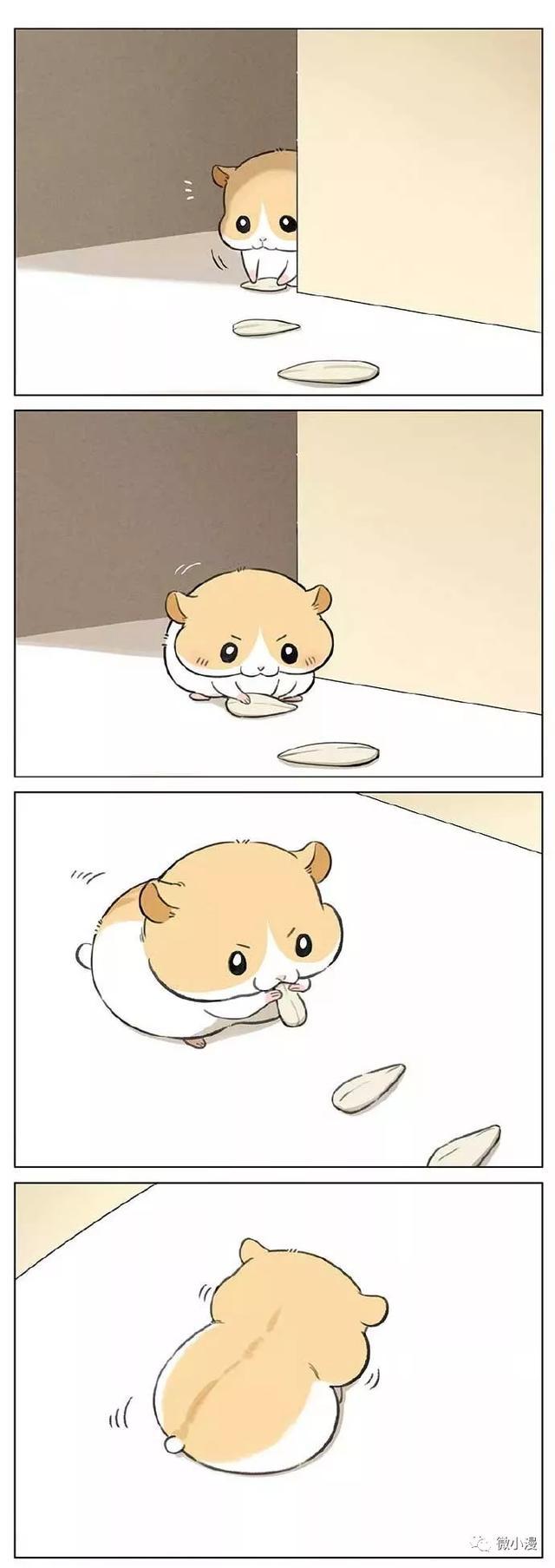 黑猫:小仓鼠我对你这么好,你感动吗?小仓鼠:不敢动(漫画)_吉川流