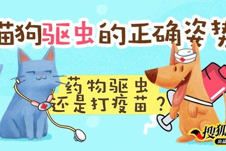 活动结果   "猫狗驱虫的正确姿势"征文活动