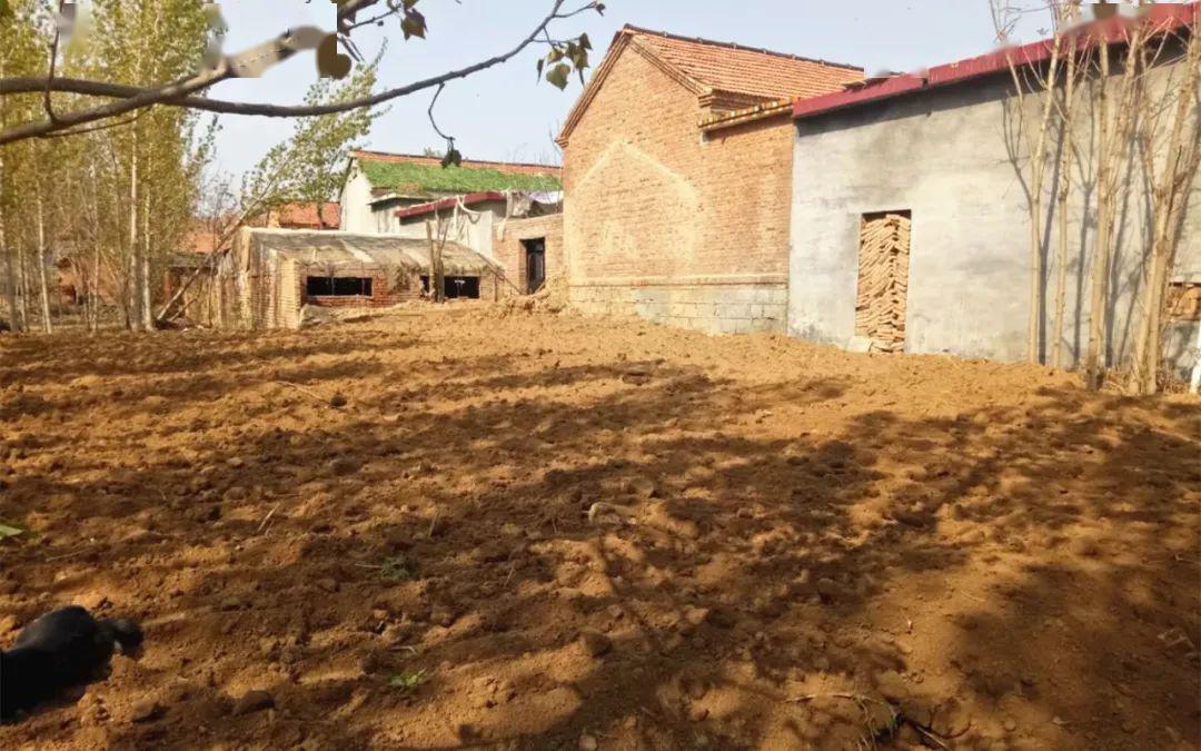 九户镇持续开展"清零行动" 推动农村环境改善_土地