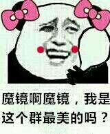 群里搞笑表情包:魔镜啊魔镜,我是这个群里最美的吗