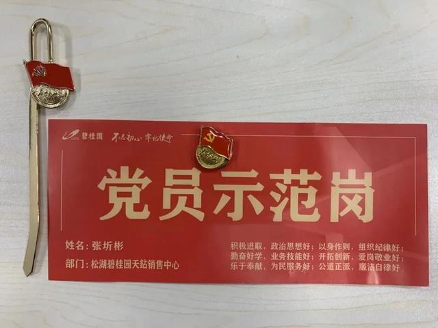 亮身份树形象做表率践初心