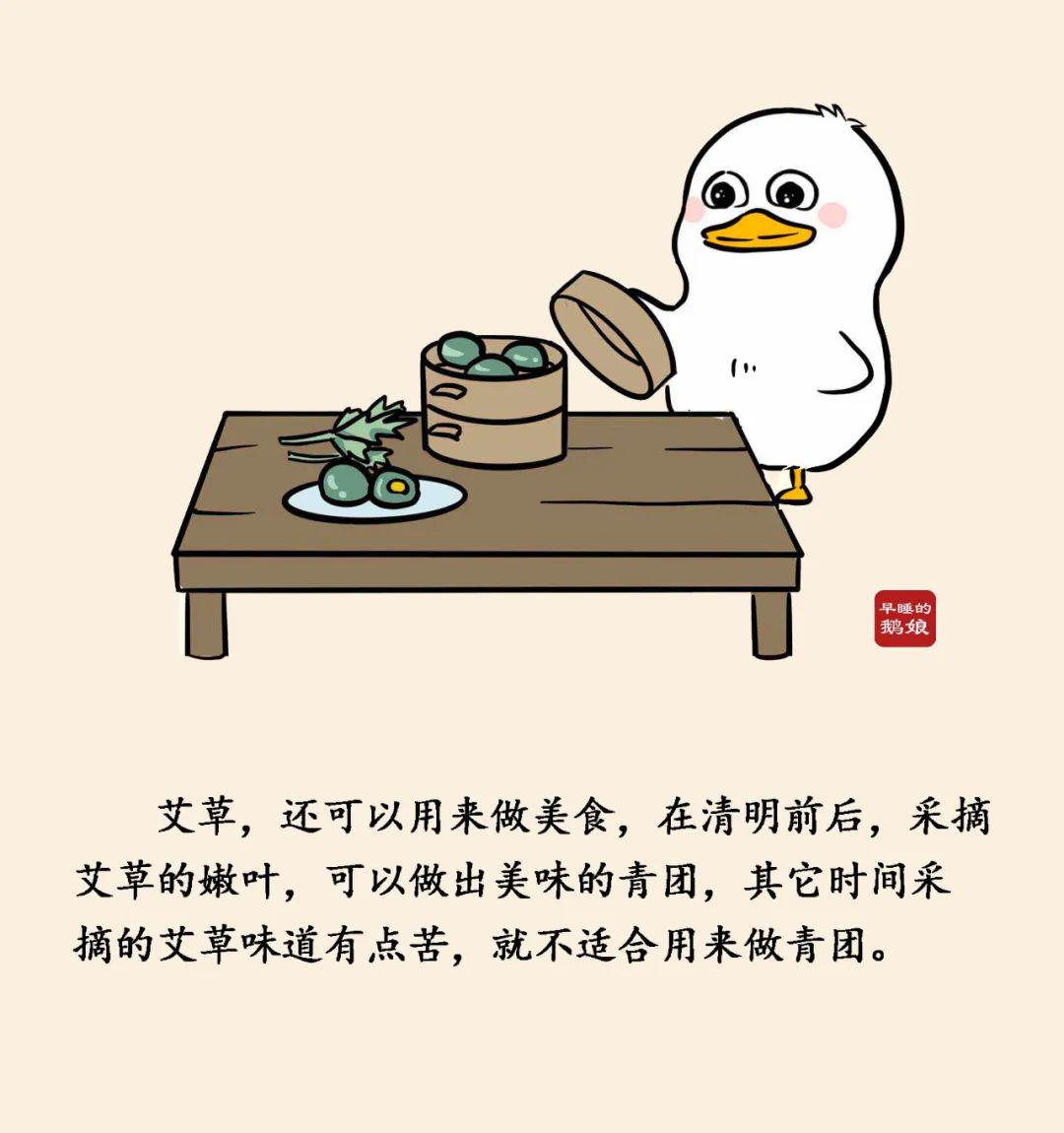 中医有声绘本一株超级厉害的艾草