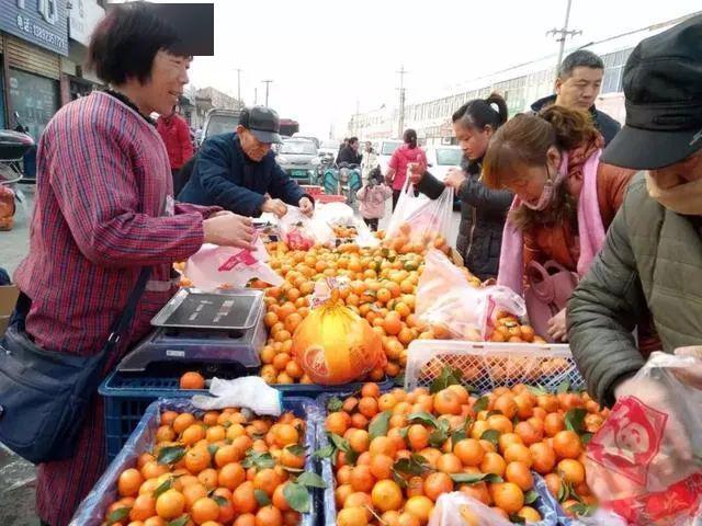 最新龙口各乡镇赶集攻略大全附时间地点立即收藏