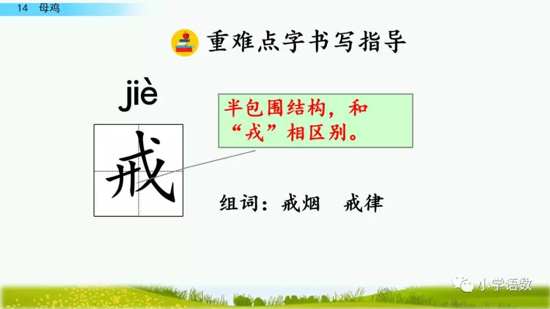 部编版四年级下册第14课母鸡图文讲解