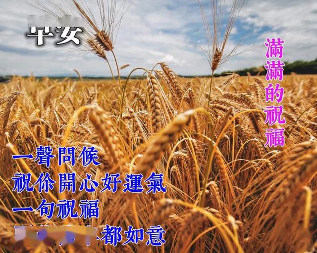 四月初一早上好的祝福语图片表情大全