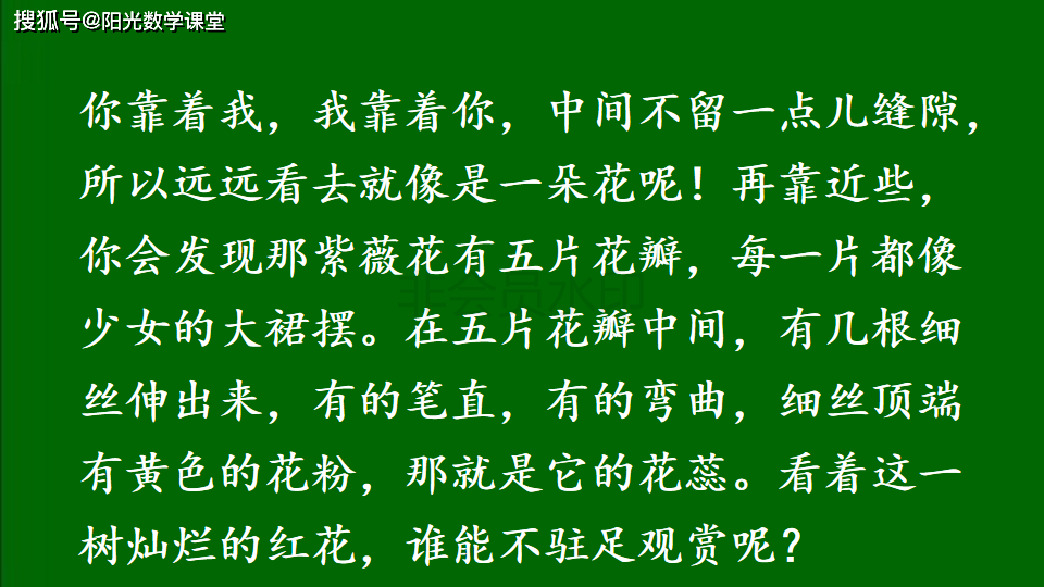 部編版四年級下冊語文課件交流平臺初試身手習作例文