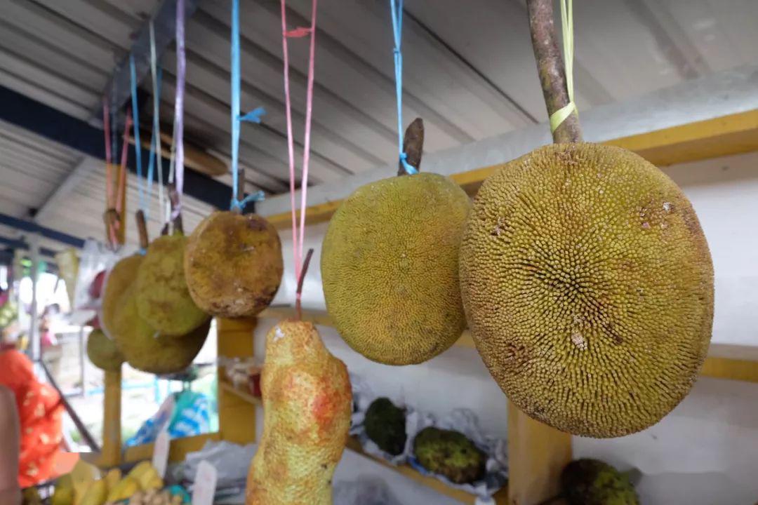 外型古怪内心香甜思念中的沙巴果