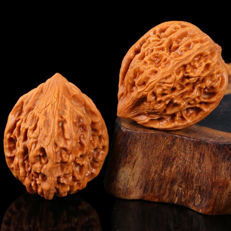 心形核桃又名姬核桃,原产日本,20世纪40年代引入我国,在辽宁,吉林