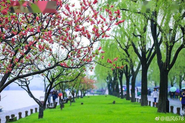 七律61暮春感怀