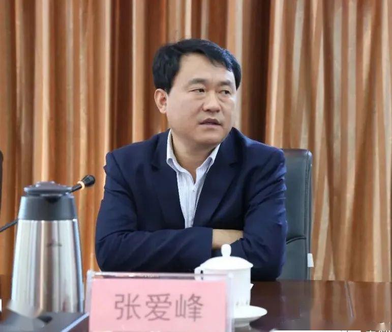 政策及创业担保贷款政策区副区长董强,区地方金融监管局局长张爱峰,区