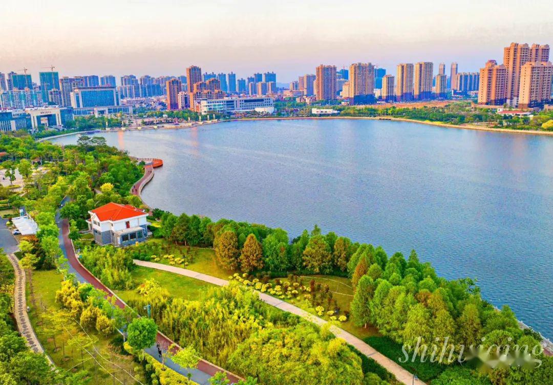 【第45会】春色自芳菲 犹待故人归丨张同英