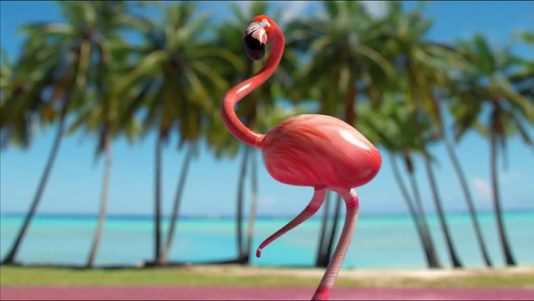 魔性的火烈鸟——奇奇怪怪的火烈鸟之舞《dvein vs flamingos》_舞蹈