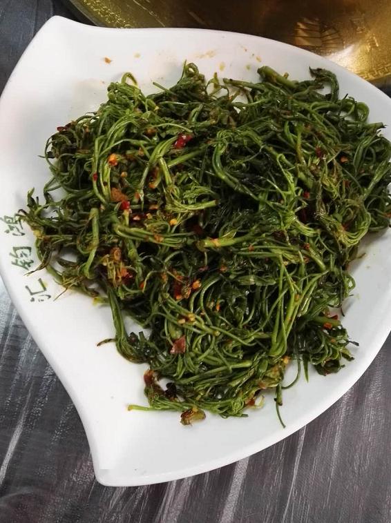 梁王茶金雀花,学名锦鸡儿,以其形似金雀而得名.