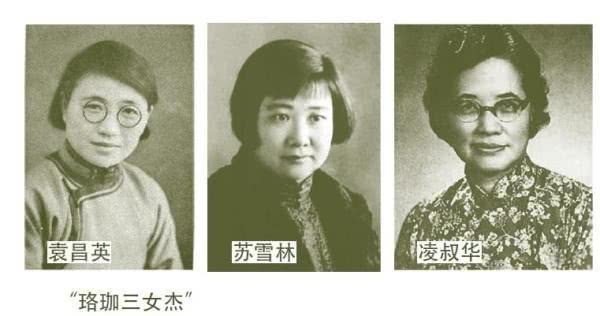 苏雪林:活到100多岁,骂了鲁迅50年,遭到封杀的"珞珈三女杰"