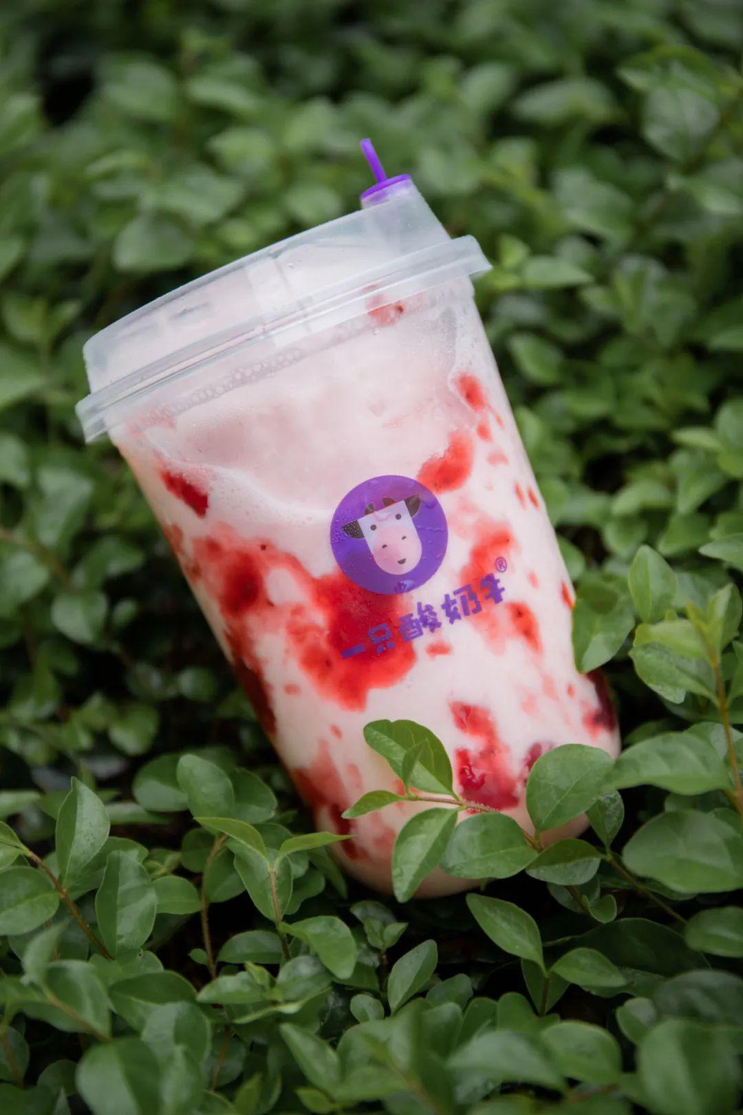 5折喝紫米露!一只酸奶牛霸气庆生!_草莓