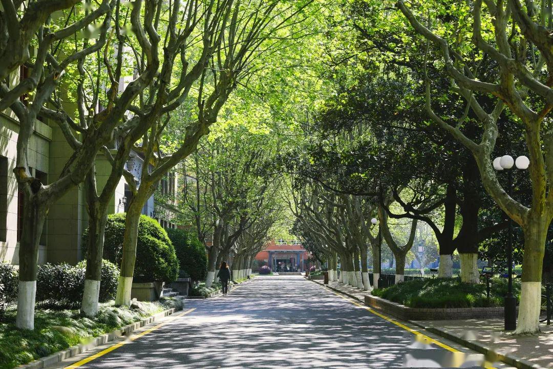 华山路1954号大门校园里常走的林荫大道,养护扫除从未间断,以一片净土