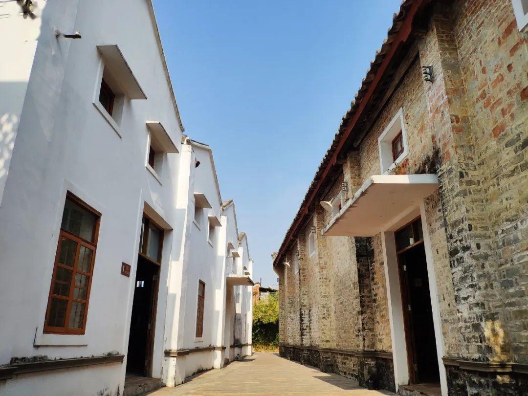 伦教三洲社区提高民众环保意识创建广东省绿色社区