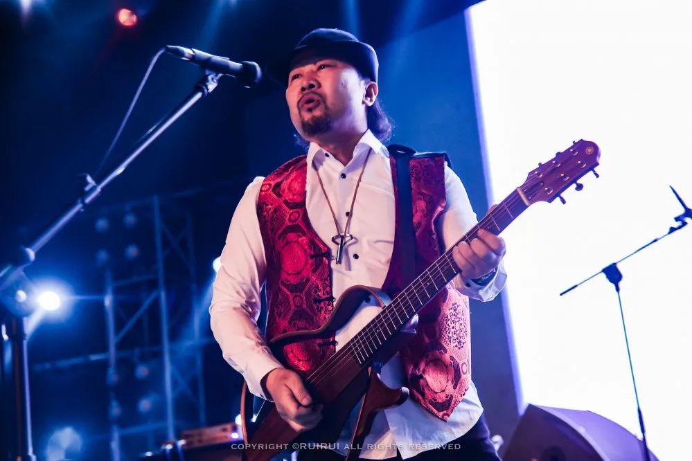 肃腾乐队新歌上线戈壁荒凉上骄傲绽放的蒙古冬青