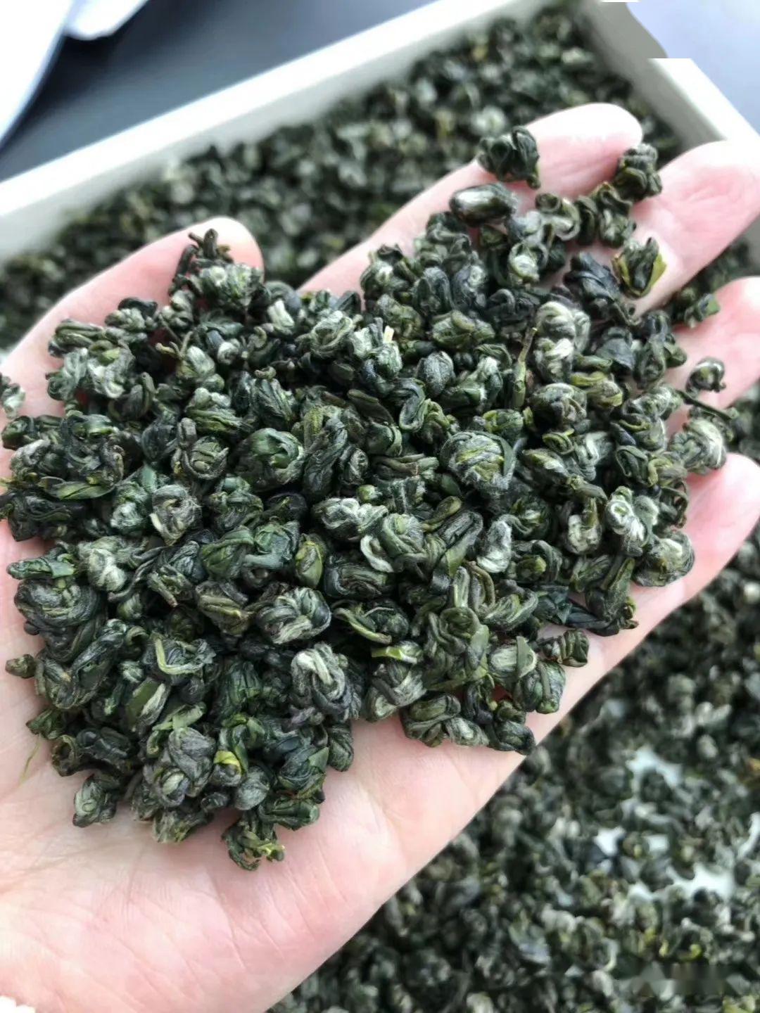 "姊妹绿珠"绿茶"姊妹红珠"红茶的好处1.