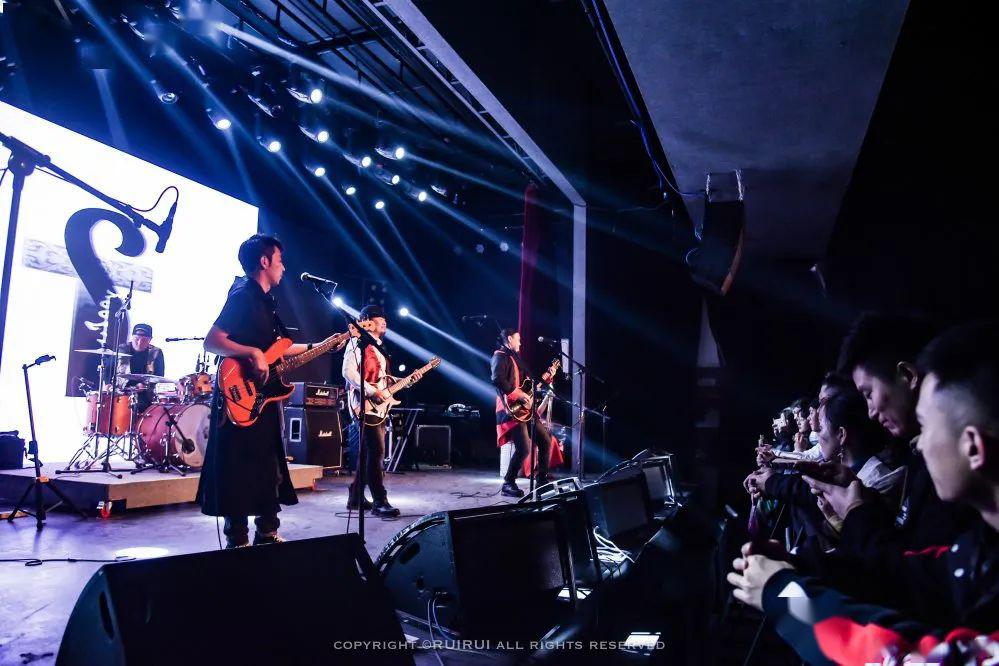 肃腾乐队新歌上线戈壁荒凉上骄傲绽放的蒙古冬青