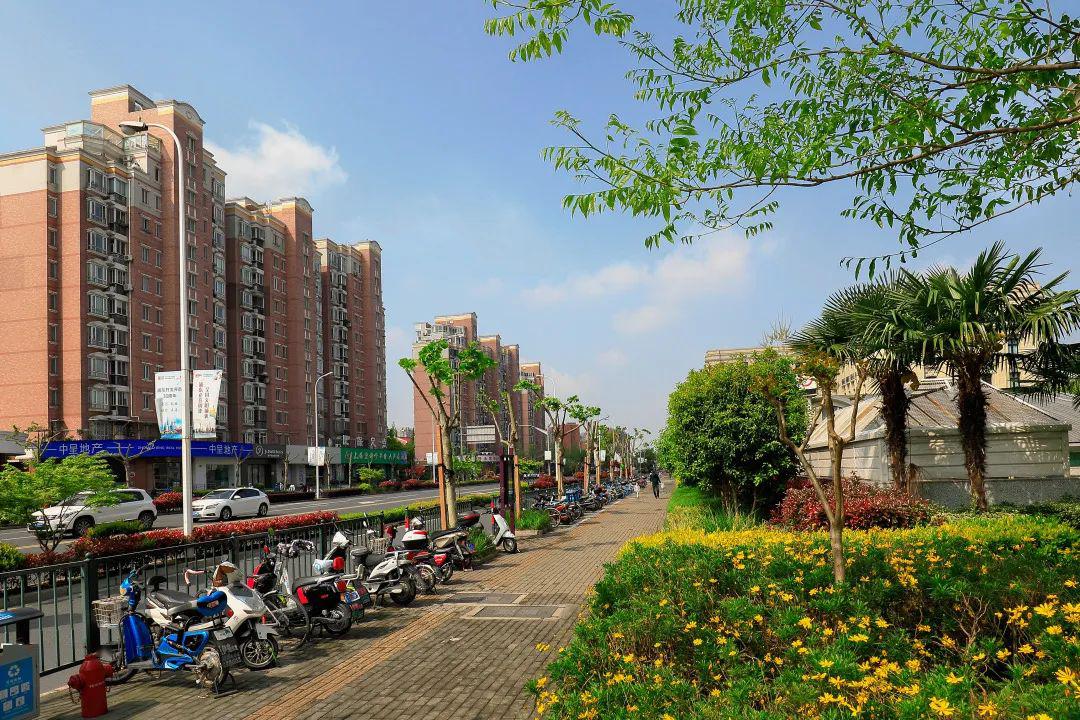 春已至,花已开在继续战"疫"的同时东明路街道已经开始了新一轮助推