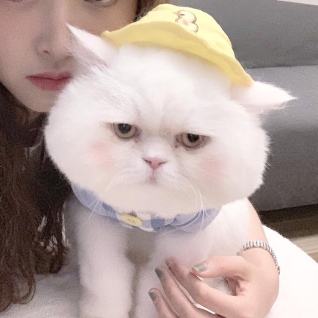 拥有极强的交际手腕,属于大家眼中的男神女神级别的人物,天秤座的情商