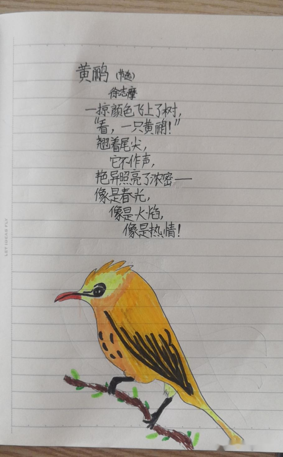 轻叩诗歌的大门记春江小学四年级世界读书日活动