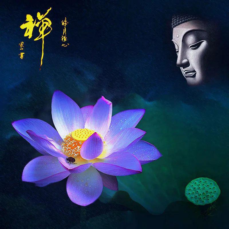 花落悟禅花开见佛