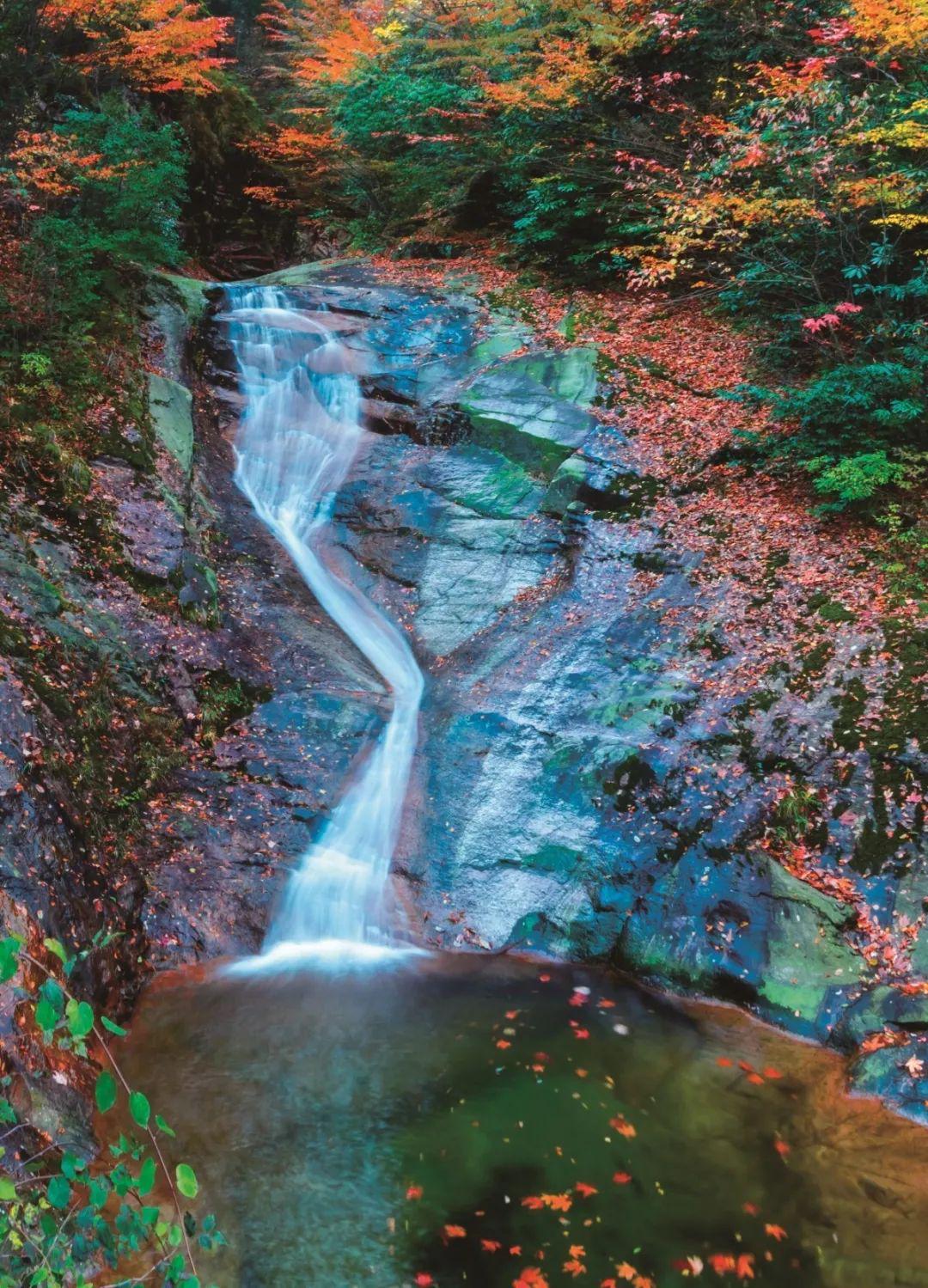 视觉影像 | "山水画廊·秀美巴中"光雾山摄影大展作品(三)
