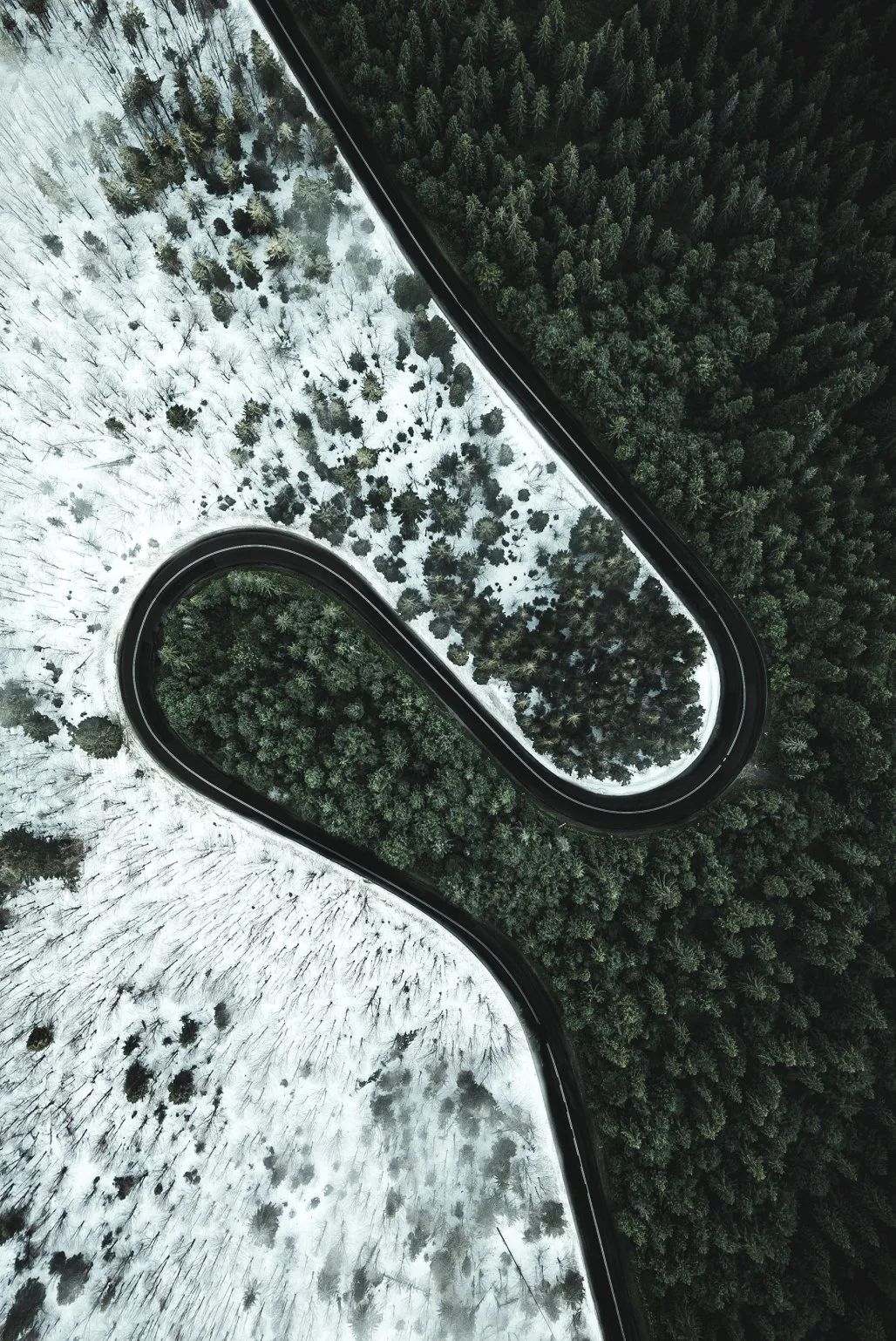 4 pro05一明暗对比光线同样可以成为照片的画笔,利用光源位置和远近