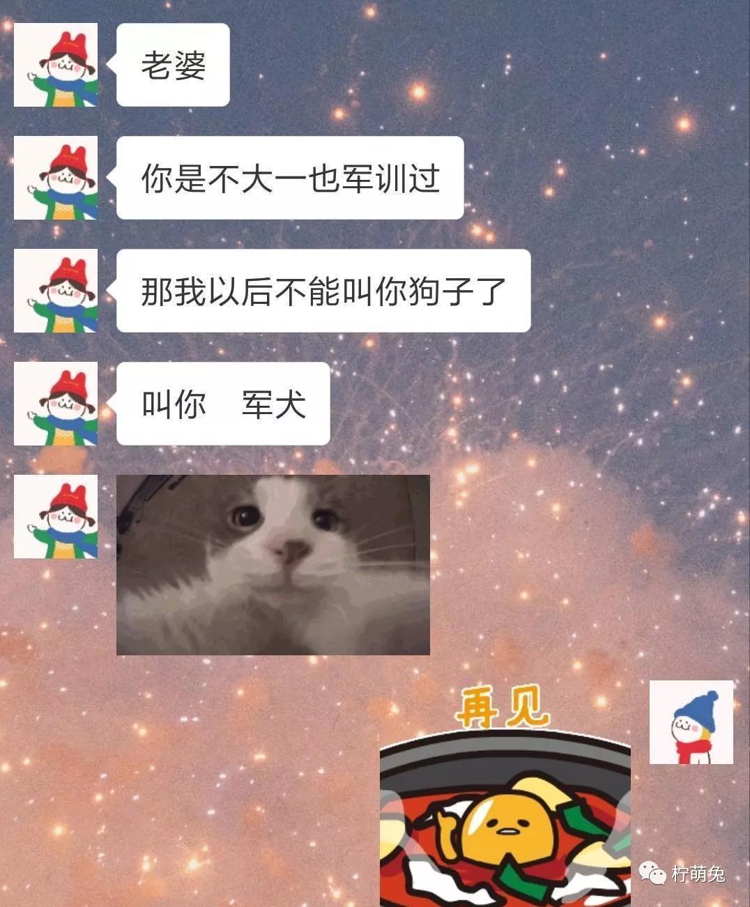 女生怒爆和沙雕男友的聊天截图笑出猪叫声