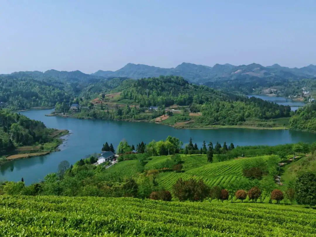 余庆县正紧紧围绕"先抓质再抓量"的发展思路不动摇,来源:天眼新闻返回