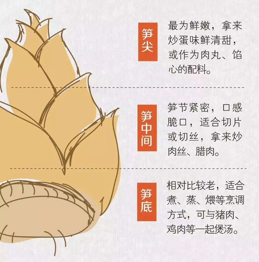 竹笋内含有的多糖物质具有抗癌作用;纤维素和脂肪酸结合能减少血浆中