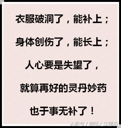 人心隔肚皮知人知面不知心花草留根人需留心