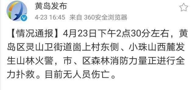 青岛小珠山突发山火今晨扑灭后又复燃无人员伤亡